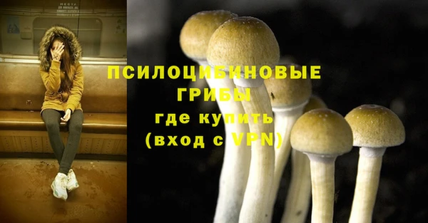 герыч Алексин