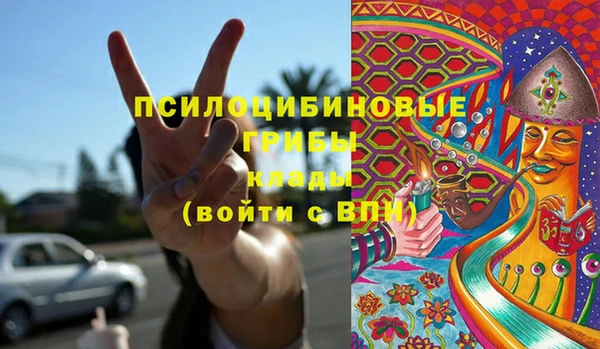 шишки Абинск