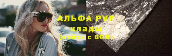 шишки Абинск