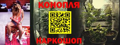 сатива Можайск