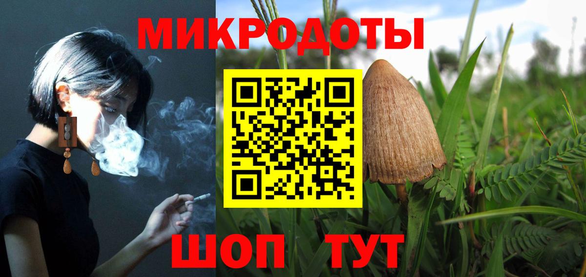 Псилоцибиновые грибы Psilocybine cubensis  наркотики  Благовещенск  Вход с VPN 